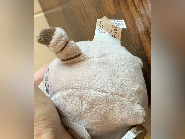 NWT Pusheen Cat Wearing Sunglasses Stuffed Animal Plush Toy Keychain Bag Clip - Image 3