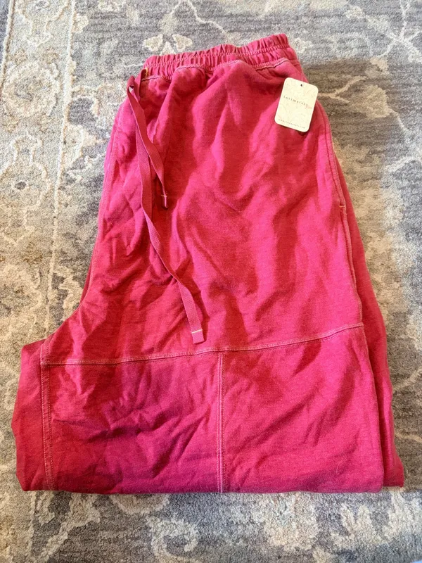 Free People Sweatpants - Image 4