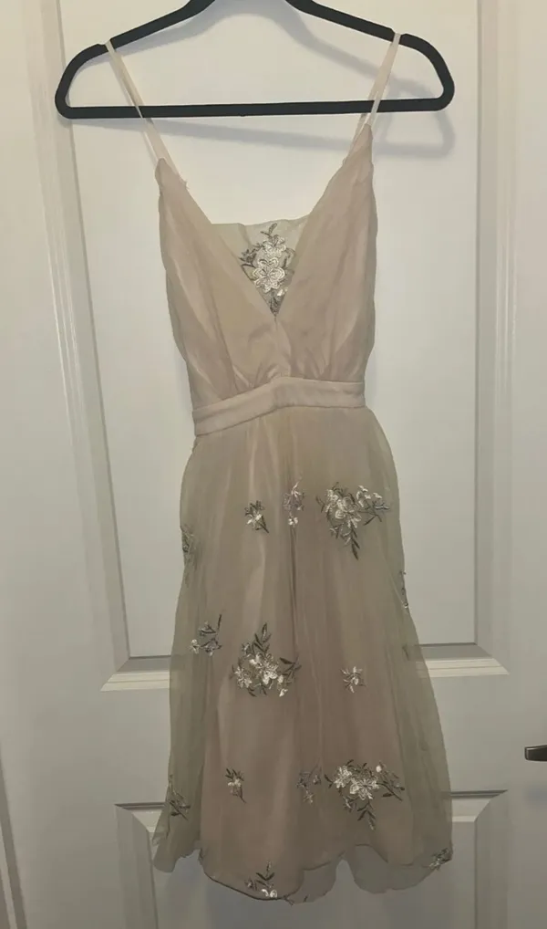 Lulus Tulle Dress - Image 2