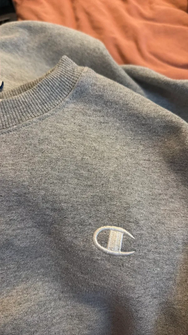 Champion Crewneck Grey - Image 4
