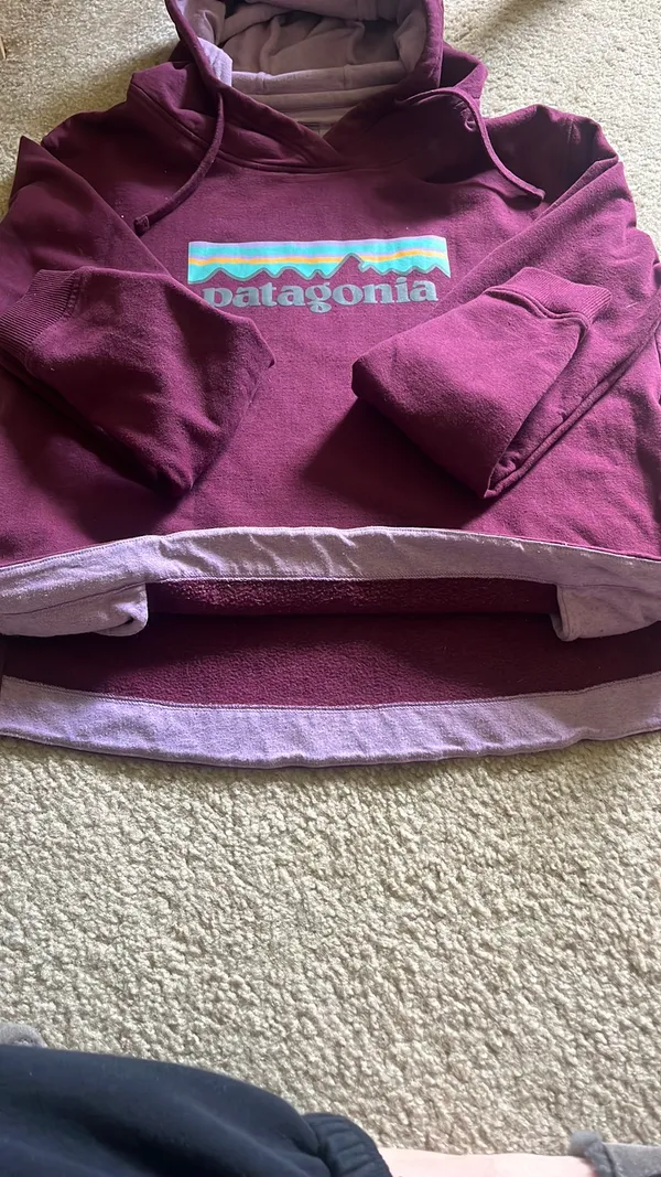 Uprisal Patagonia Hoodie - Image 3