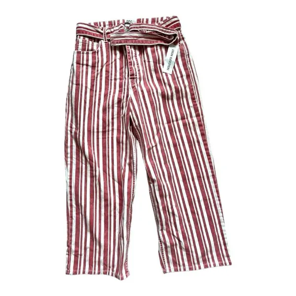 NWT Womens BDG by Urban Outfitters Austen Belted Wide Leg High Waisted Jeans 28 - Image 2