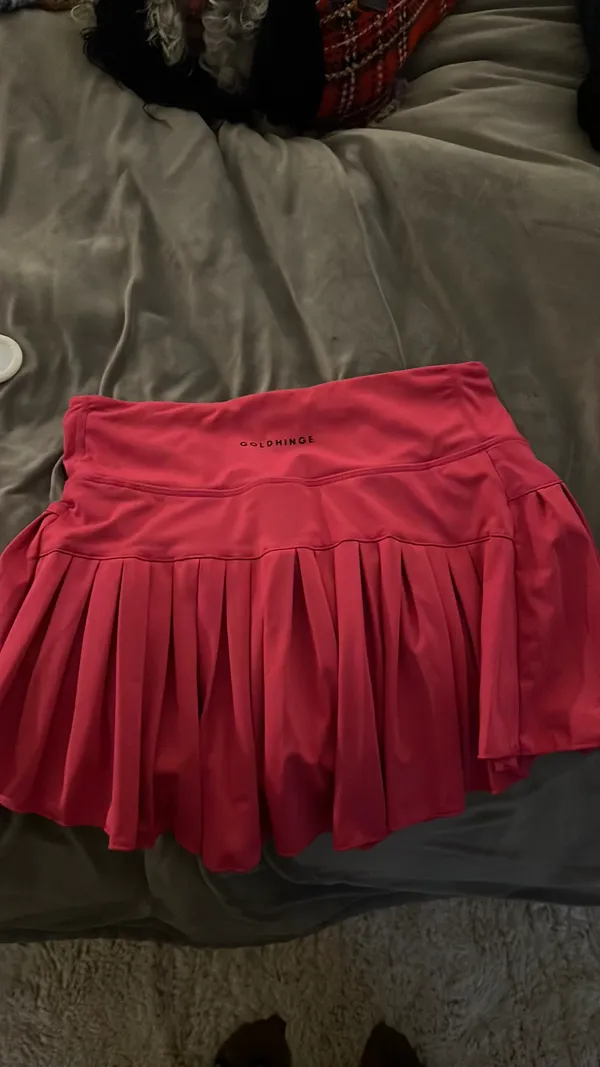 Gold Hinge  Skirt - Image 2