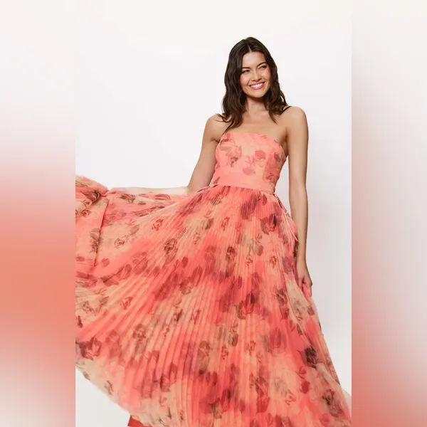 Hutch Costella Pink Blush Floral Tulle Gown‎ Dress size 4 NWT - Image 3