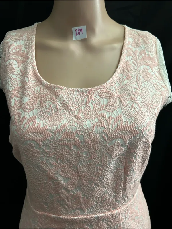 Moon Sleeveless Pink Lace Sheath Dress XS - SM - Image 7