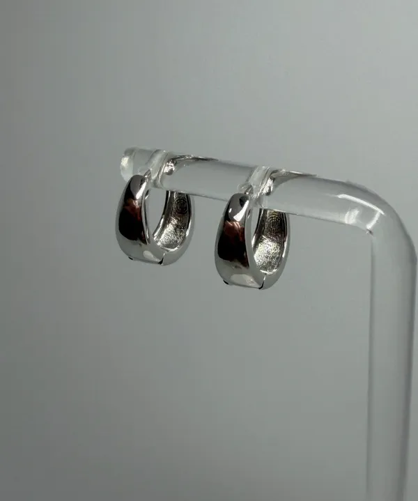 Silver color Stainless Steel Hoops Earrings - Image 2