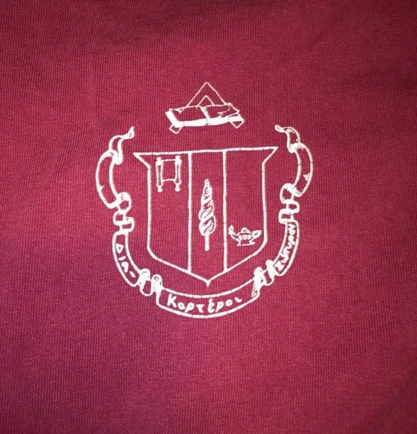 Spirit Delta Zeta Jersey - Image 3