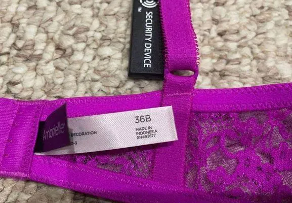 Ambrielle Bra - Image 3