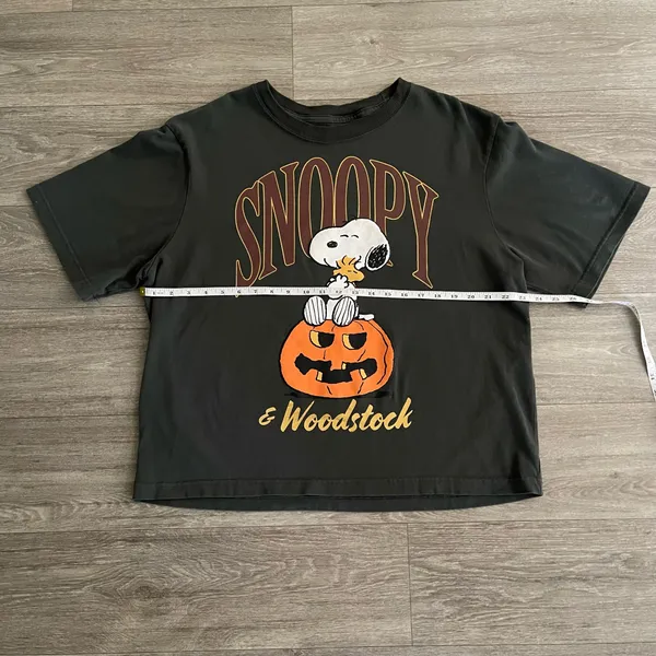 RSQ x Peanuts Snoopy & Woodstock Together Boxy Tee - medium - Image 5