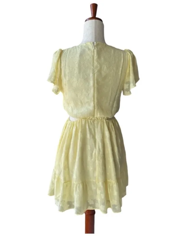 Show Me Your Mumu Merritt Mini Dress - Image 6