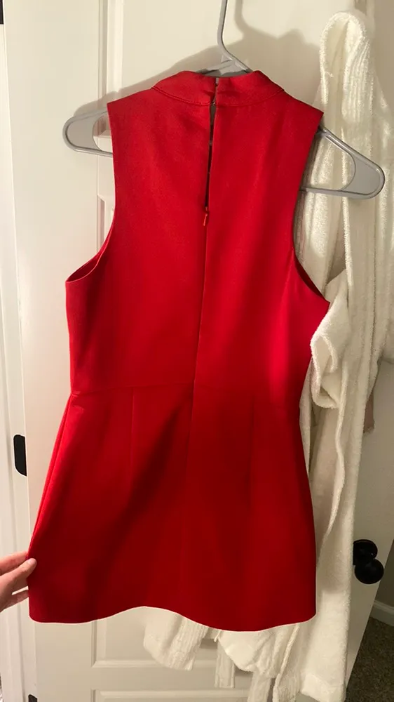 Olivaceous Red Mini Dress - Image 3
