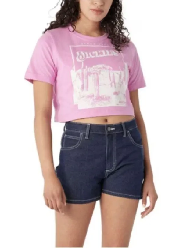 Dickies lovtiend Desert Graphic short Sleeve T-Shirt Size Small - Image 2