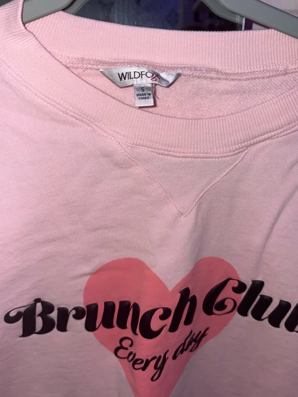 Brunch Club Wildfox Pink Sweater - Image 4