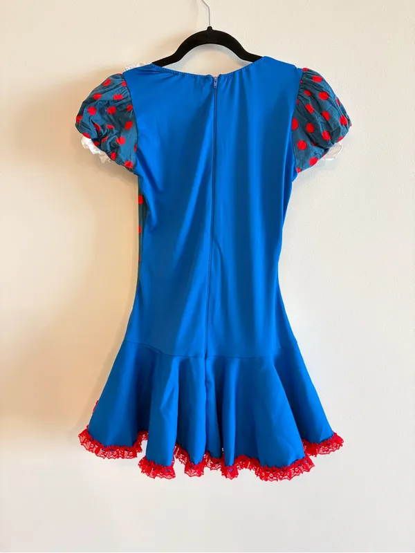 Leg Avenue Raggady Anne Halloween Dress Size M/L - Image 6
