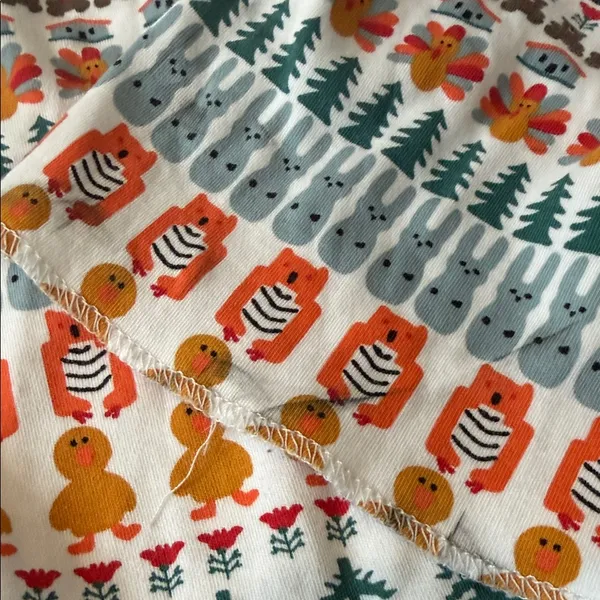 Roller Rabbit soft pima cotton Thanksgiving turkey print henley size Large - Image 4