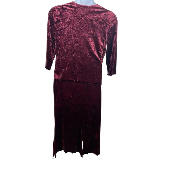 VTG Y2K 90s Fashion Bug Crushed Velvet Gothic 2-Piece Set Skirt Set M Burgundy - Image 6