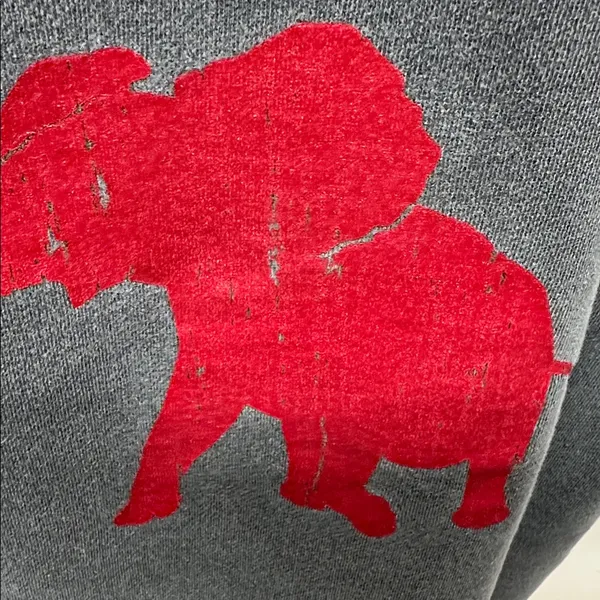 Comfort Colors Elephant Tuscaloosa Alabama sweatshirt size M - Image 9