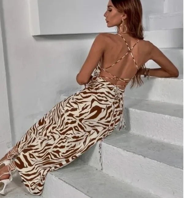 Zebra Striped Dress Multi - Image 2