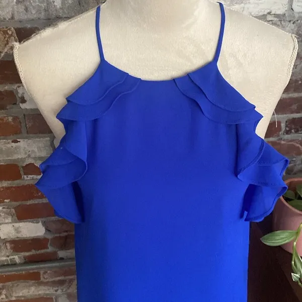 Naked Zebra Royal Blue Ruffle shift Dress Size S NWT - Image 2