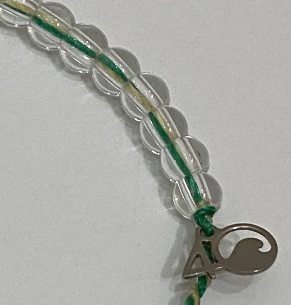 Limited Ed 4Ocean Bracelet Mangroves & Estuaries - Image 5