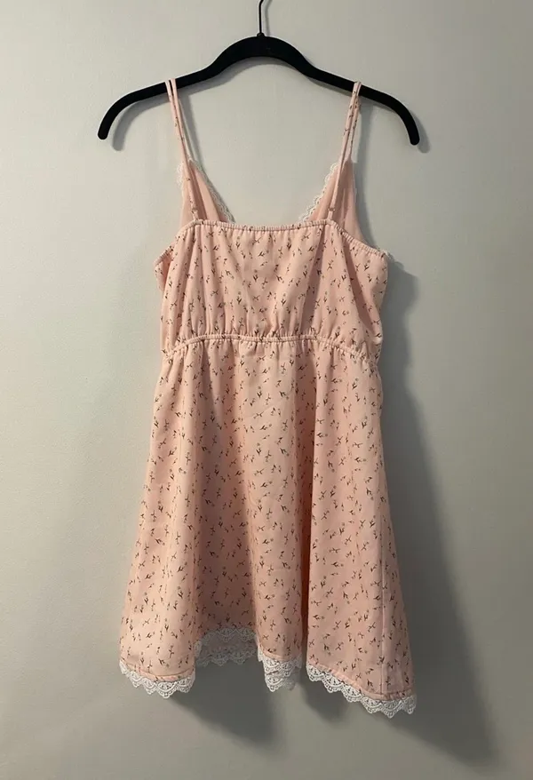 Backyard Roses Floral Mini Dress with Lace Detail - Image 3