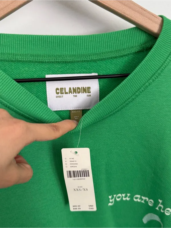 Anthropologie Celandine XXS/XS NEW Crew-Neck Graphic Sweatshirt Green Oversized - Image 2