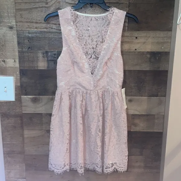 Tobi Blush Lace Overlay Sleeveless Plunging Neckline Mini Dress, NWT - Image 4