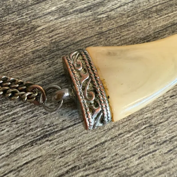 Vintage Fang Tooth Necklace Discoloration - Image 5