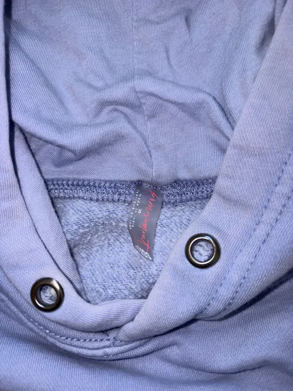 Free People Hoodie - Image 3