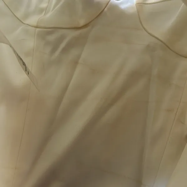 WILFRED BUSTIER TOP - Image 4