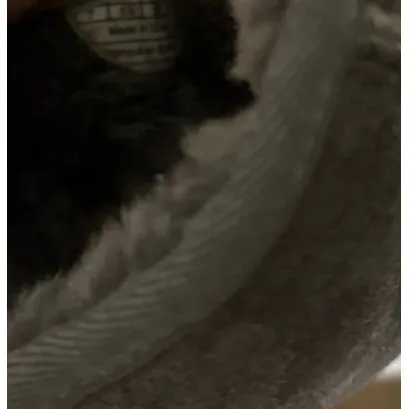 UGG grey boots - Image 3