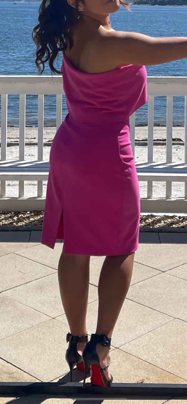 Likely Pink Dress - Image 2