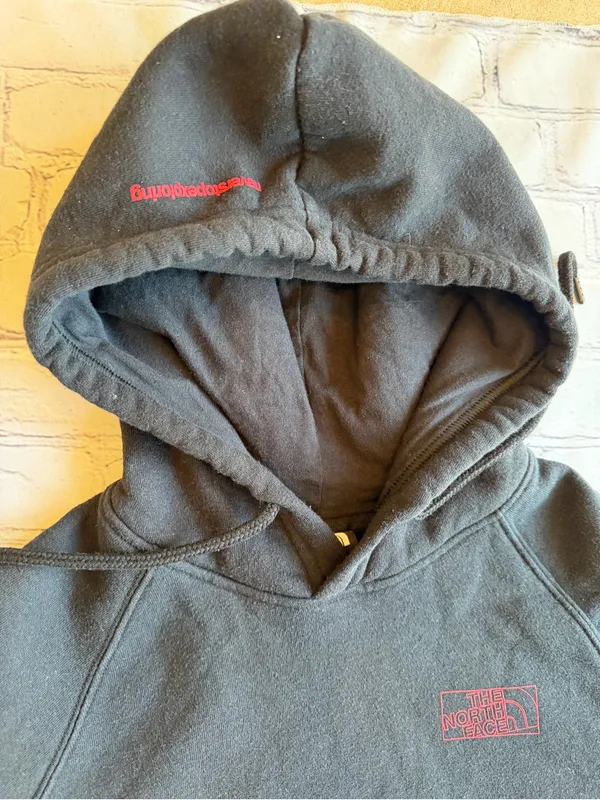 The North Face Womens Medium Hoodie Sweatshirt Rainbow Logo Spell Out EUC Pride - Image 8