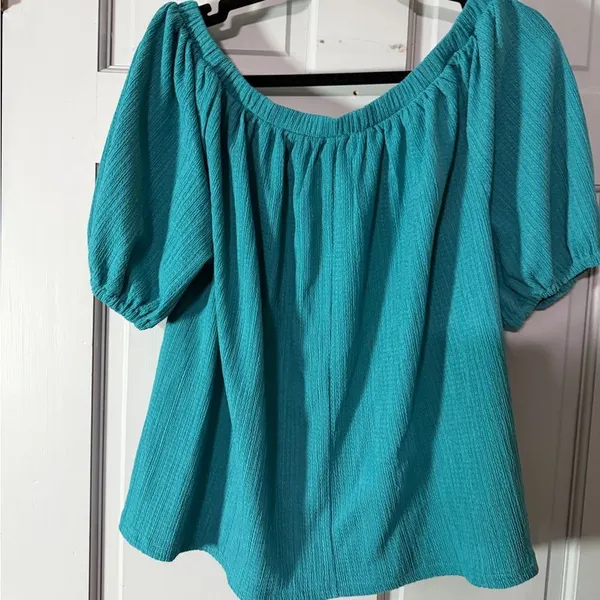 Anthropologie Teal Puff Sleeve Blouse - Image 5