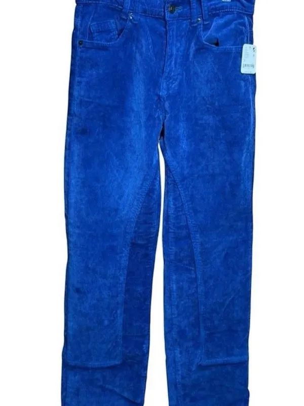 Free People We The Free Blue Corduroy Risk T High Rise Straight Pants Size 26 NW - Image 2
