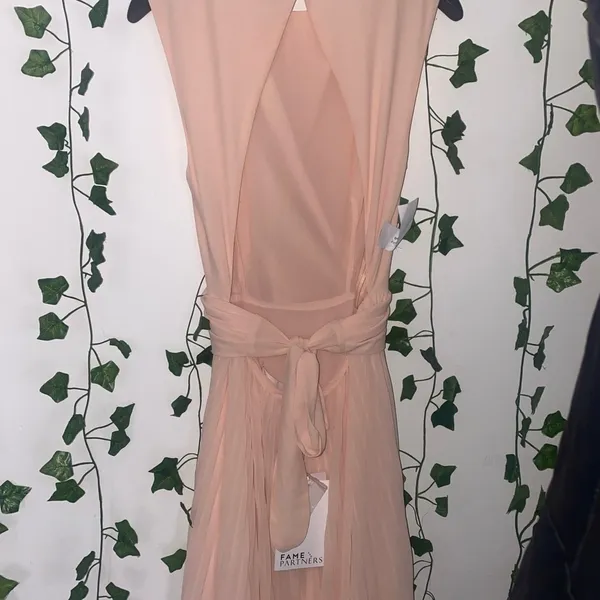 new size 4 womans light pink Fame and partners formal dress - Image 4
