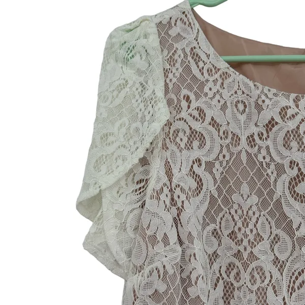 BB Dakota size 10 ivory lace overlay‎ dress new with tags zip up rear - Image 3