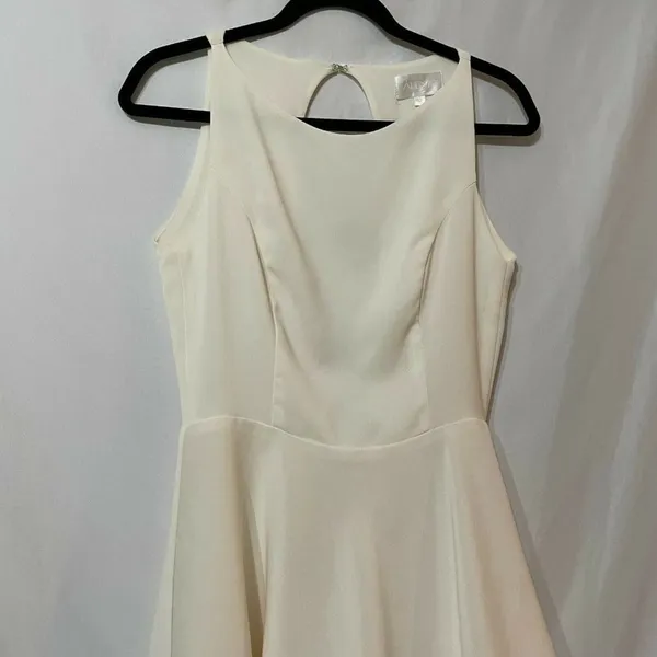 Alexis Ivory Sleeveless Mini Dress Womens S Silk Lining Open Back Flared Hem - Image 4