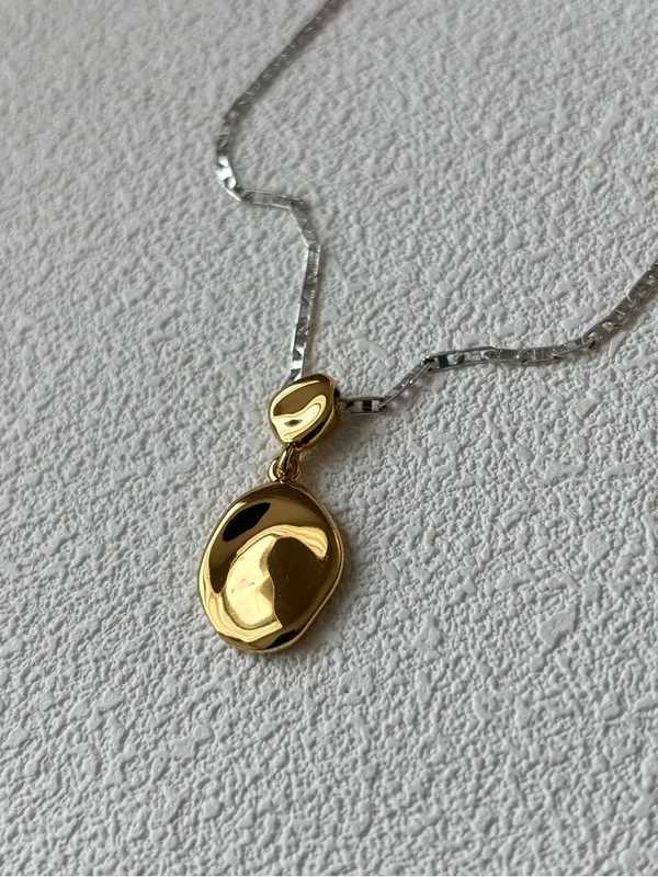NWOT Jenny Bird Two-Tone Silver Chain Necklace with Gold Pendant Charm - Image 8