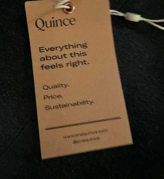 Quince gray dress pants - Image 2