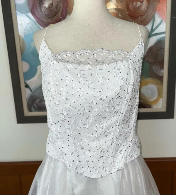 Pretty New Lenovia Organza Prom/Quinceanera/Wedding Gown! - Image 3