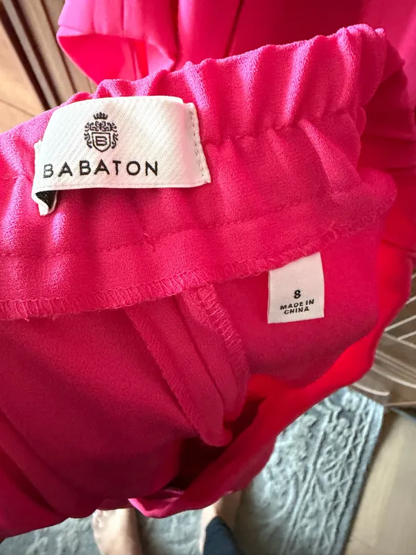 Babaton Aritzia Blazer and Pants - Image 6