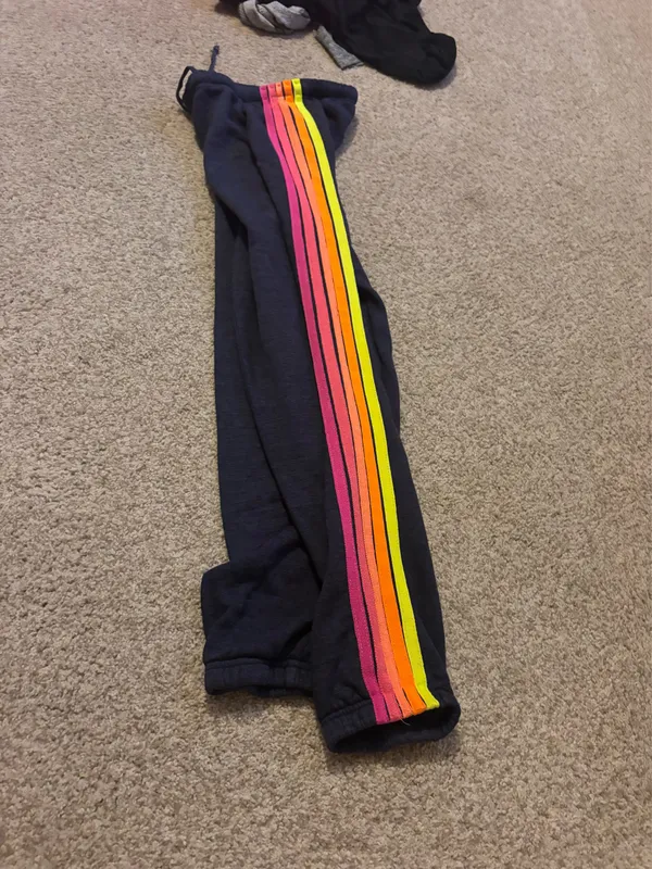 Aviator Nation Sweatpants - Image 3