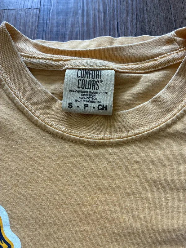 Comfort Colors T-Shirt Charleston Riverdogs - Image 2