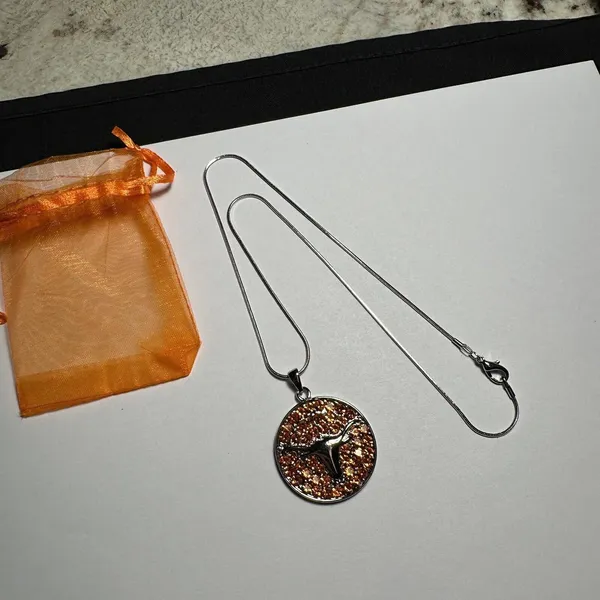 Rhinestone Texas Longhorn Round Pendant Silver Tone Chain Necklace - Image 4
