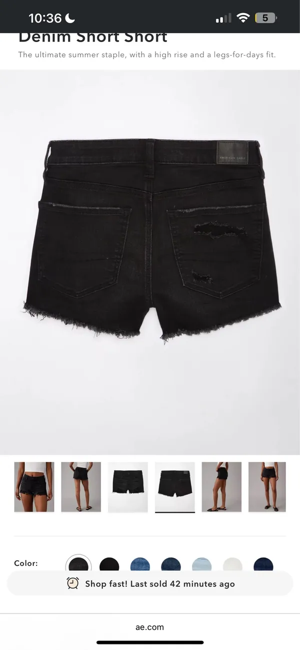 American Eagle - Image 5