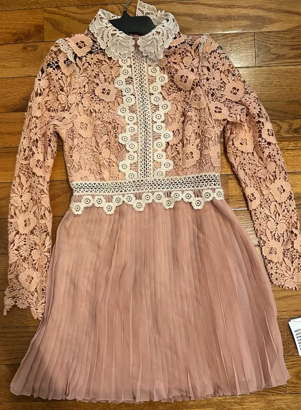 ASOS DESIGN rose Victorian-inspired Pleated Lace Dream Mini Dress 6 - Image 13