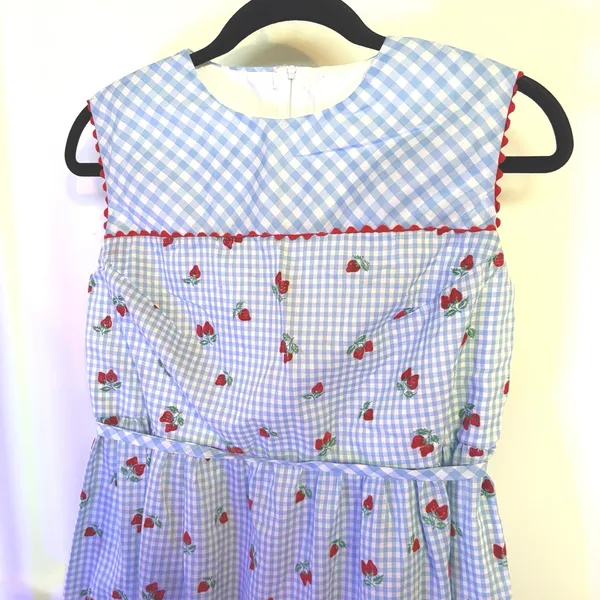 50s Baby Blue Gingham Dress Coquette Strawberry Cottagecore Picnic Retro Femme - Image 3