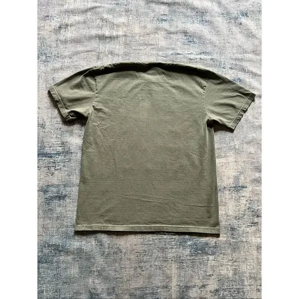 Comfort Colors Faded Green From The 1900s Novelty Tee Large - Image 2