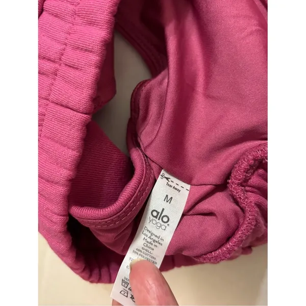 NWOT new ALO accolade sweatshirt bra medium raspberry sorbet - Image 2